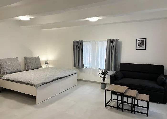 ホステル Rolnicke Namesti 8 *