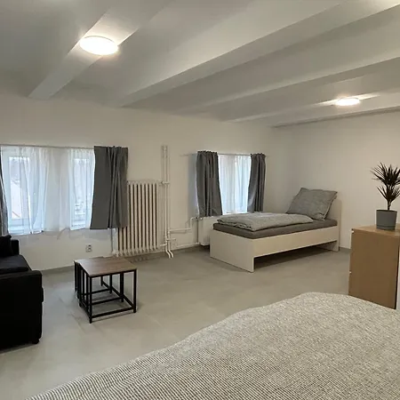 ホステル Rolnicke Namesti 8 プルゼニ