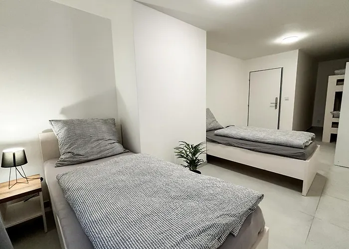 ホステル Rolnicke Namesti 8